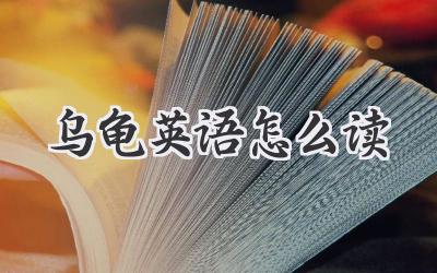 乌龟英语怎么读