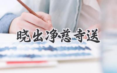 晓出净慈寺送