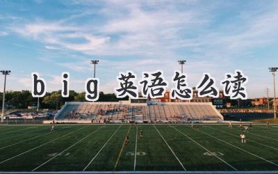 big英语怎么读