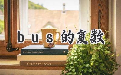bus的复数