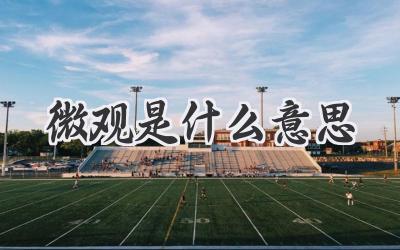 微观是什么意思