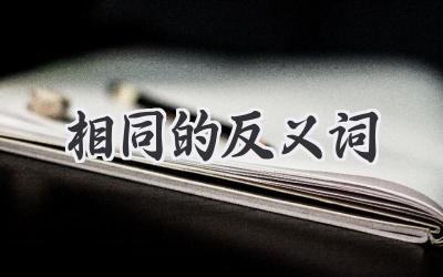 相同的反义词