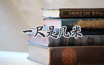 一尺是几米