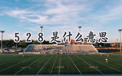 528是什么意思
