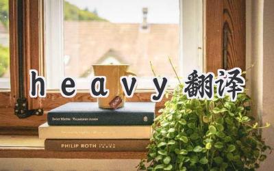 heavy翻译