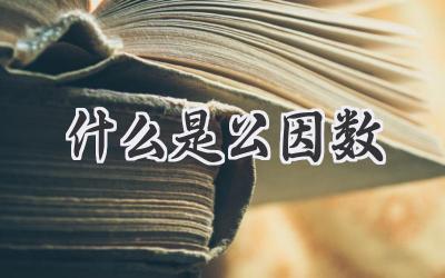 什么是公因数