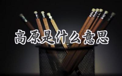 高原是什么意思