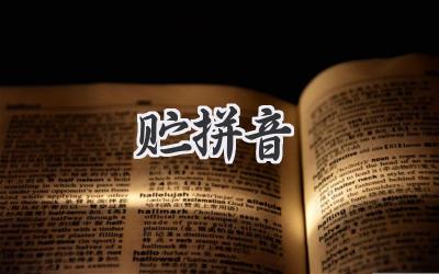 贮拼音