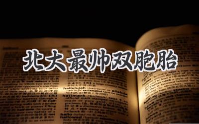 北大最帅双胞胎