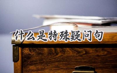 什么是特殊疑问句
