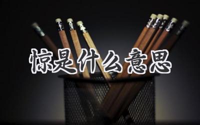 惊是什么意思