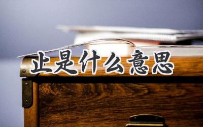 止是什么意思