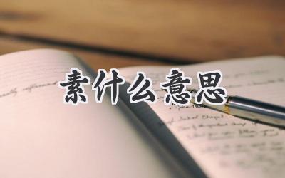 素什么意思