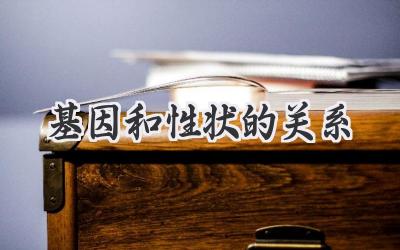 基因和性状的关系
