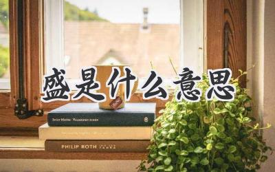 盛是什么意思