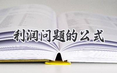 利润问题的公式
