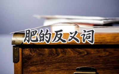 肥的反义词