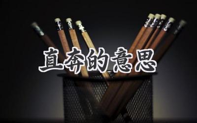 直奔的意思