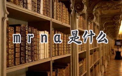 mrna是什么