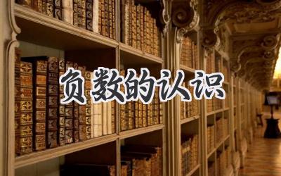 负数的认识