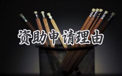 资助申请理由
