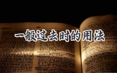 一般过去时的用法