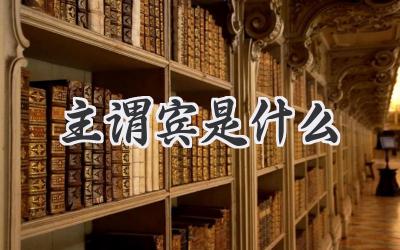 主谓宾是什么