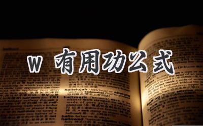 w有用功公式