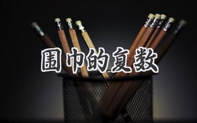 围巾的复数