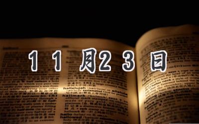 11月23日