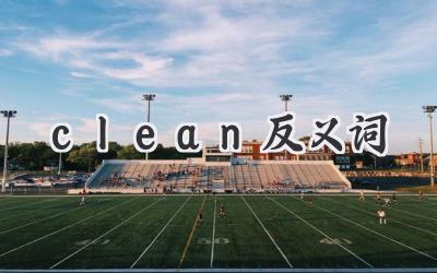 clean反义词