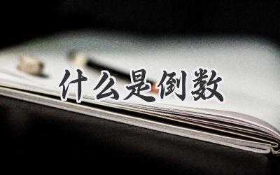什么是倒数