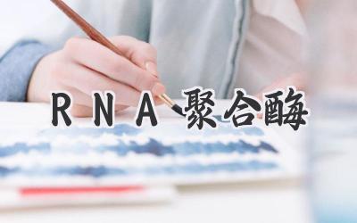 RNA聚合酶
