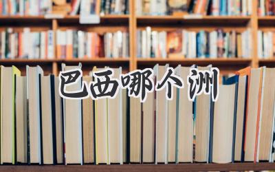 巴西哪个洲