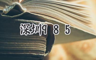 深圳985