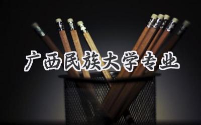 广西民族大学专业