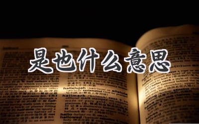 是也什么意思