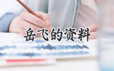 岳飞的资料