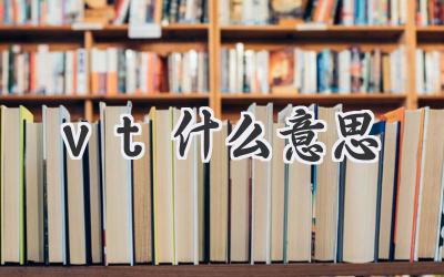 vt什么意思