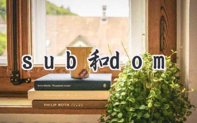 sub和dom
