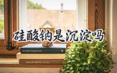 硅酸钠是沉淀吗