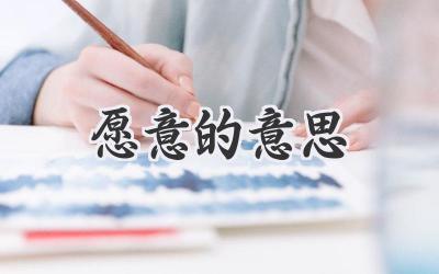 愿意的意思