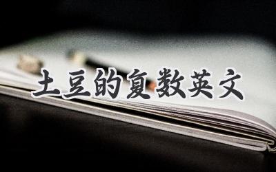 土豆的复数英文