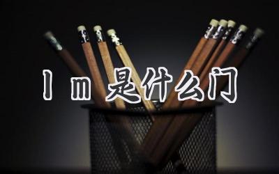 lm是什么门