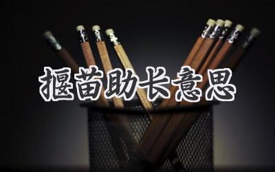揠苗助长意思