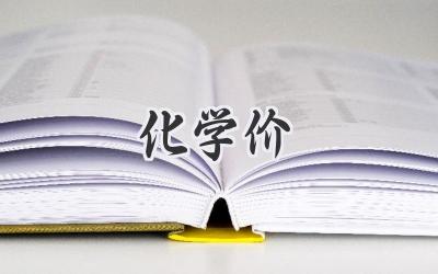 化学价
