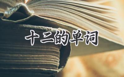 十二的单词