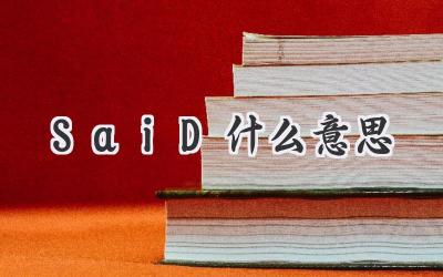 SaiD什么意思