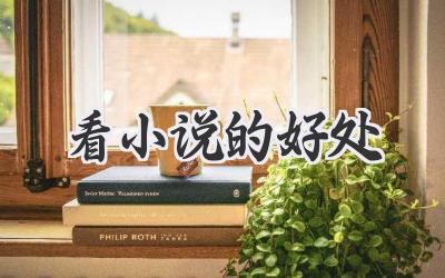 看小说的好处