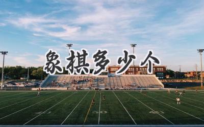 象棋多少个